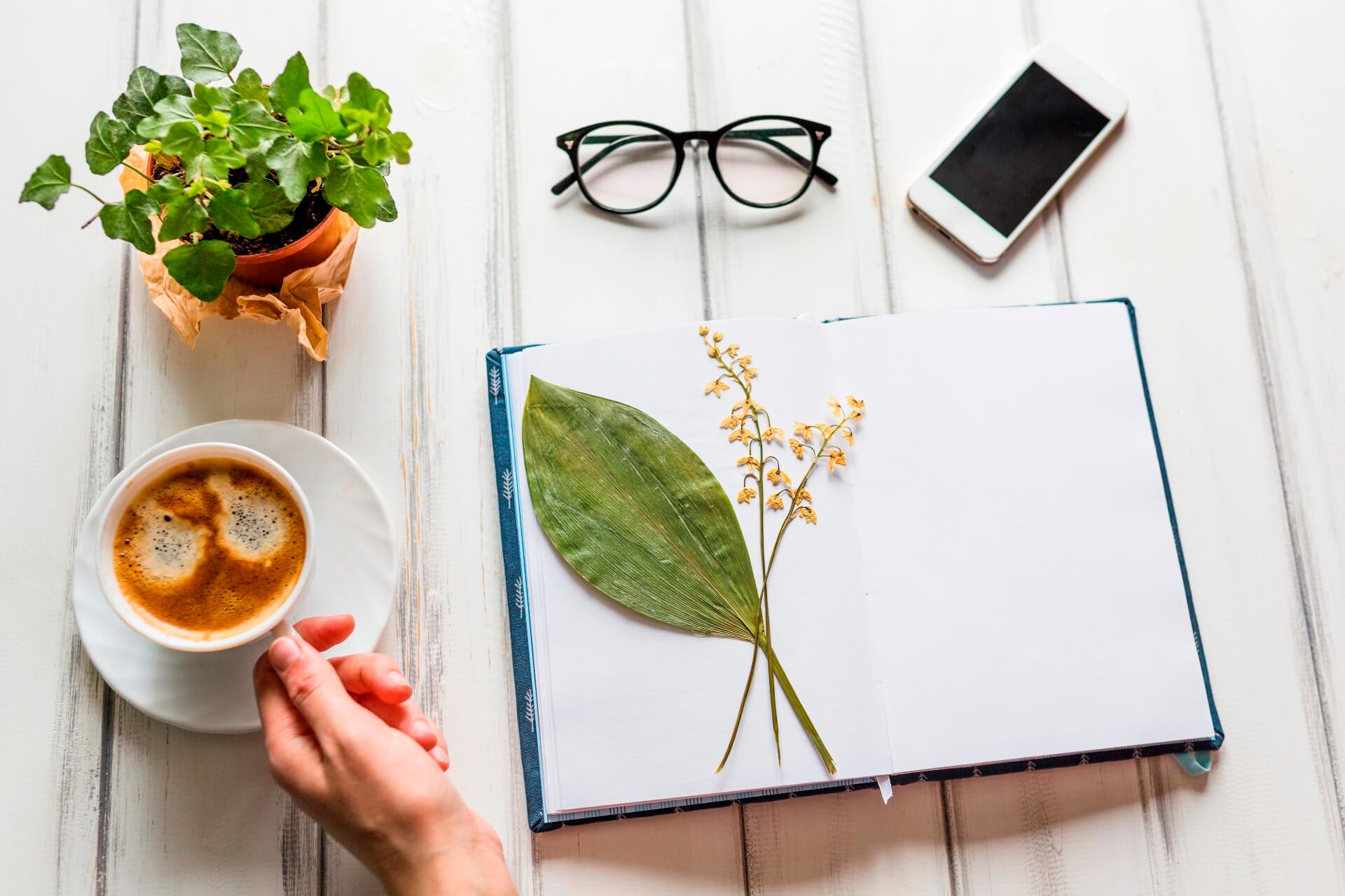 The Best Self-Care Habits for Everyday Balance